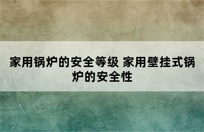 家用锅炉的安全等级 家用壁挂式锅炉的安全性